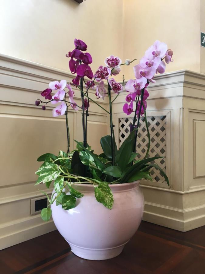 B&B Villino Margherita Rom Eksteriør billede